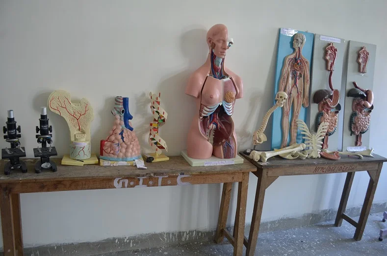Collage Classes